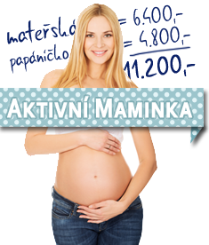 Program Aktivní Maminka